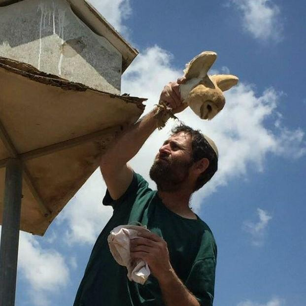 יהונתן הראל